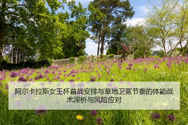 a-er-ka-la-si-nv-wang-bei-shou-zhan-an-pai-yu-cao-di-wei-mian-jie-zou-de-ti-neng-zhan-shu-shen-xi-yu-feng-xian-ying-dui-2-351.jpg